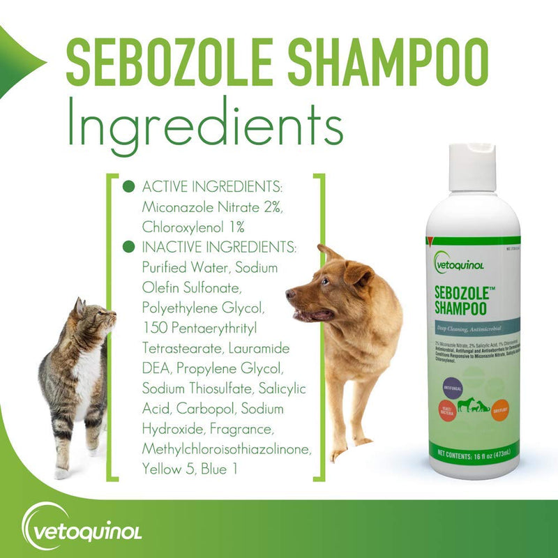 [Australia] - Vetoquinol Sebozole Shampoo with Miconazole Nitrate 2% and Chloroxylenol 1% 16 Fl Oz 