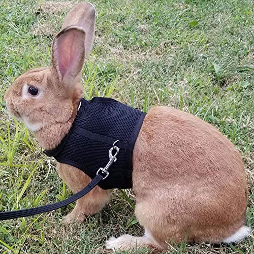 Pettom Bunny Rabbit Harness with Stretchy Leash Cute Adjustable Buckle Breathable Mesh Vest for Kitten Small Pets Walking S(Chest:10.8-12.9 in) Black - PawsPlanet Australia