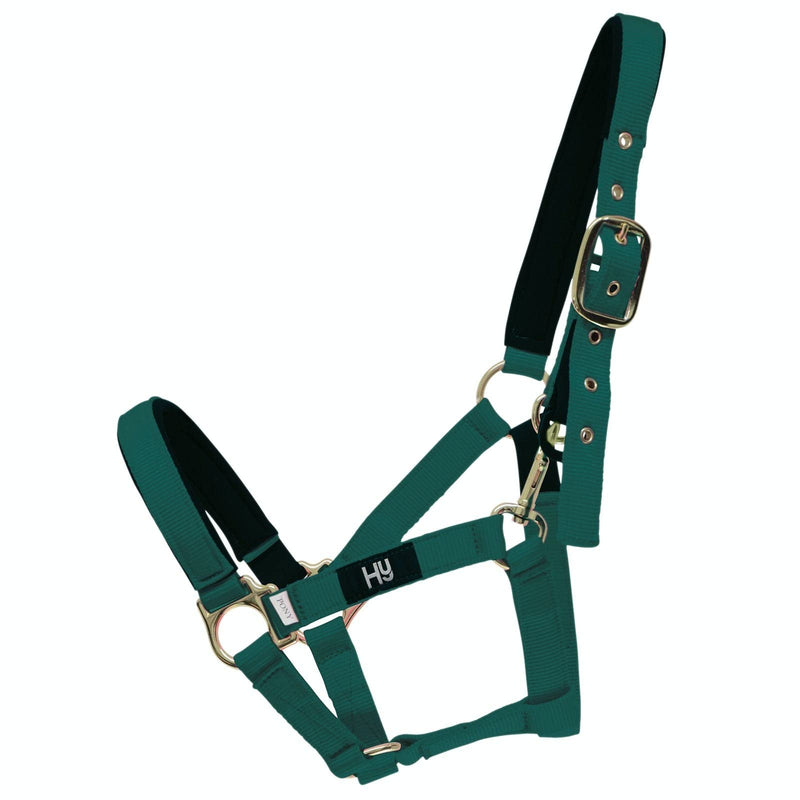 Hy Fieldsafe Headcollar - Black - Cob - Horse Equestrian Halters & Headcollars - PawsPlanet Australia