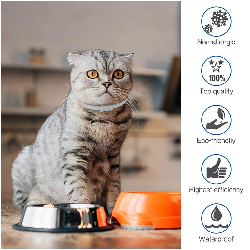 KOOLTAIL Cat Flea and Tick Collar - 8 Months Protection Anti Flea Collars Effective Treatment Adjustable Length for Kittens Cats - PawsPlanet Australia