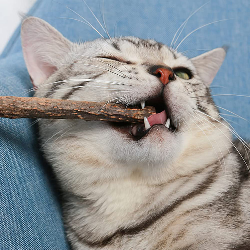 Catnip stick, 20 pieces XiXiRan dental care cat sticks, Matatabi cat chew sticks, cat chewing sticks, catnip sticks toys, pure natural catnip toys, dental care - PawsPlanet Australia