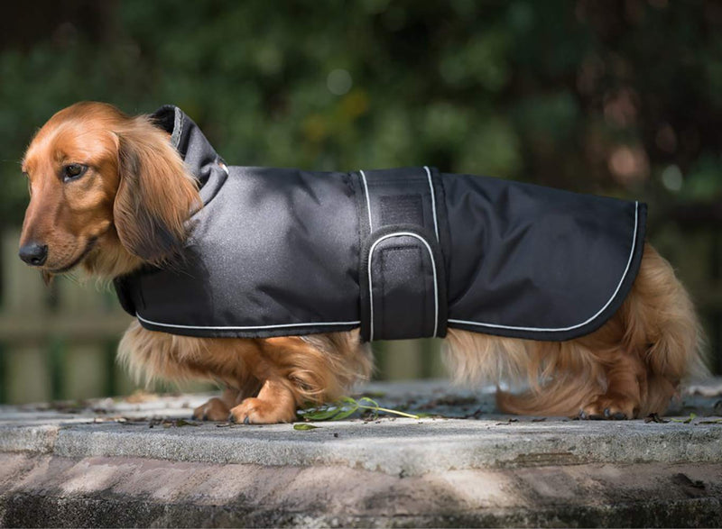 [Australia] - Geyecete Shower Waterproof Dachshund Dog Coat, Dog Winter Coat with Warm Fleece Lining, Outdoor Dog Apparel with Adjustable Bands for Medium, Large Dog Small Black 