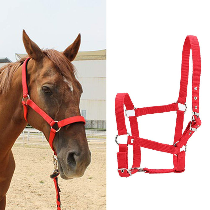 DAUERHAFT Webbing Horse Bridle clear texture Red Color for horse - PawsPlanet Australia