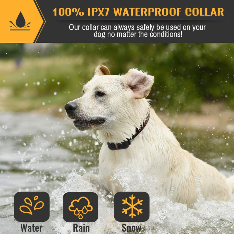 Petrainer Dog Bark Collar Waterproof No Bark Collar for Dogs with Beep Vibration and No Harm Dog Shock Collar Smart Detection Anti Bark Collars for Small Medium Large Dogs - PawsPlanet Australia