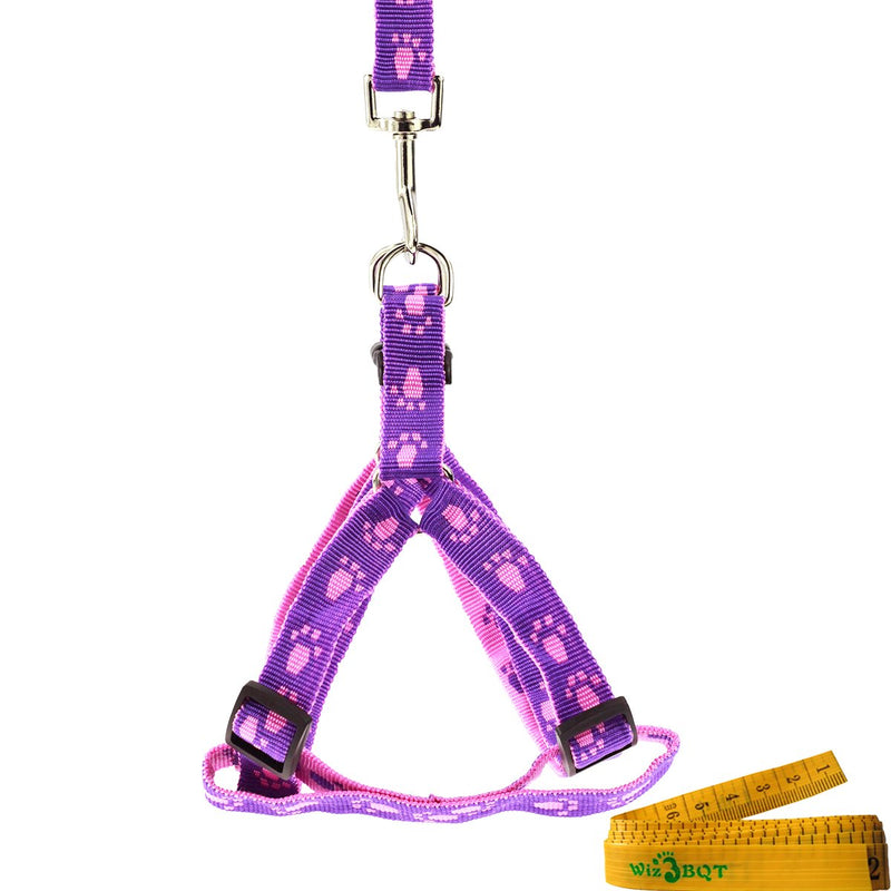 [Australia] - Wiz BBQT Pink and Purple Adjustable Breakaway Dog Cat Pet Harness and Leash Set with Footprint for Dogs Cats Pets in Spring Summer Autumn Medium 