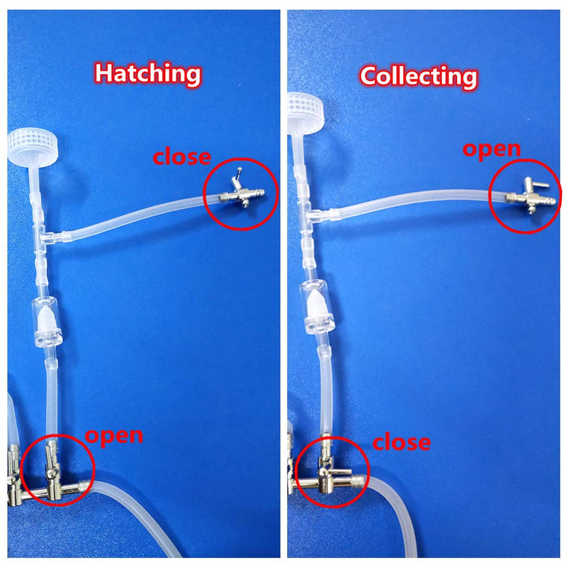 [Australia] - PUPUZAO Simple 3-Way Soda Bottles Brine Shrimp Hatchery Kit Artemia Hatching Tools 