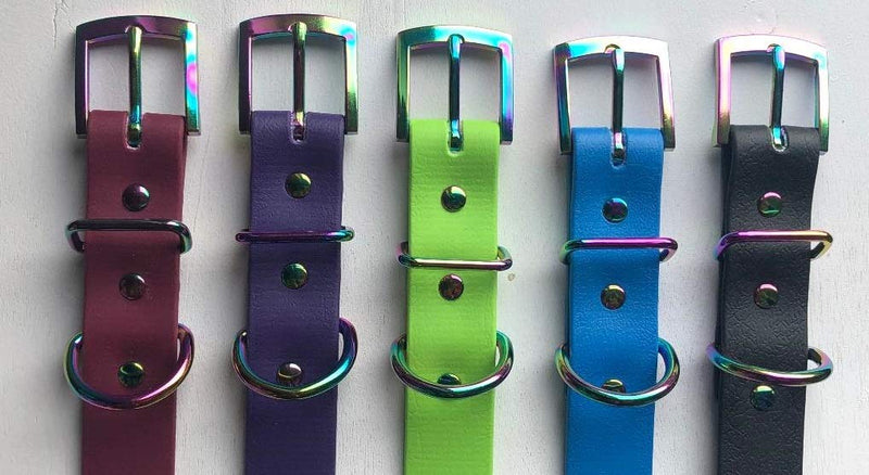 LIME GREEN BIOTHANE RAINBOW BUCKLE DOG COLLAR 19"-23" 48CM-58CM 25MM WIDE LARGE WATERPROOF HYPOALLERGENIC DURABLE VEGAN - PawsPlanet Australia