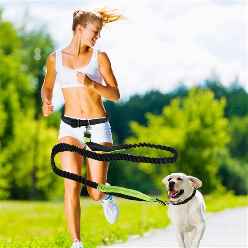 Pecco Hand Free Dog Lead, Dog Walking Belt Ajustable Dog Leash Waist Belt Pet Dog Leash Coupler Running and Jogging Lead Belt with Retractable Bungee - PawsPlanet Australia