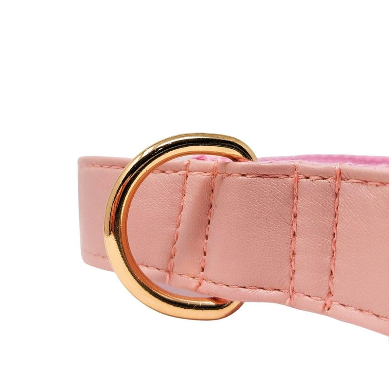 Animal Outfitters UK Limited Edition Gold Candy Collection Vegan | Faux Leather Pink and Gold Dog | Puppy Collar | Adjustable for Small or Large Dogs (Medium) - PawsPlanet Australia