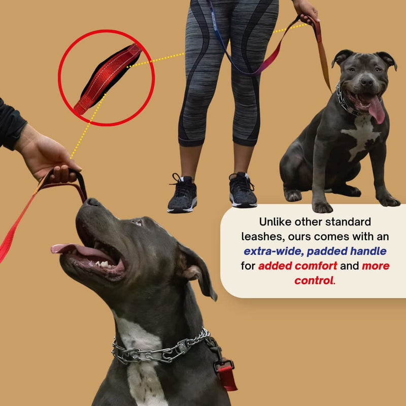 Uniqpals Hands Free Dog Leash for Medium to Large Dogs | 5 Feet Dog Leash for Walking, Running, Hiking with Heavy Duty Adjustable Waist Belt, Padded Handles, Reflective Stitching, and Carrying Bag Blue/Yellow - PawsPlanet Australia