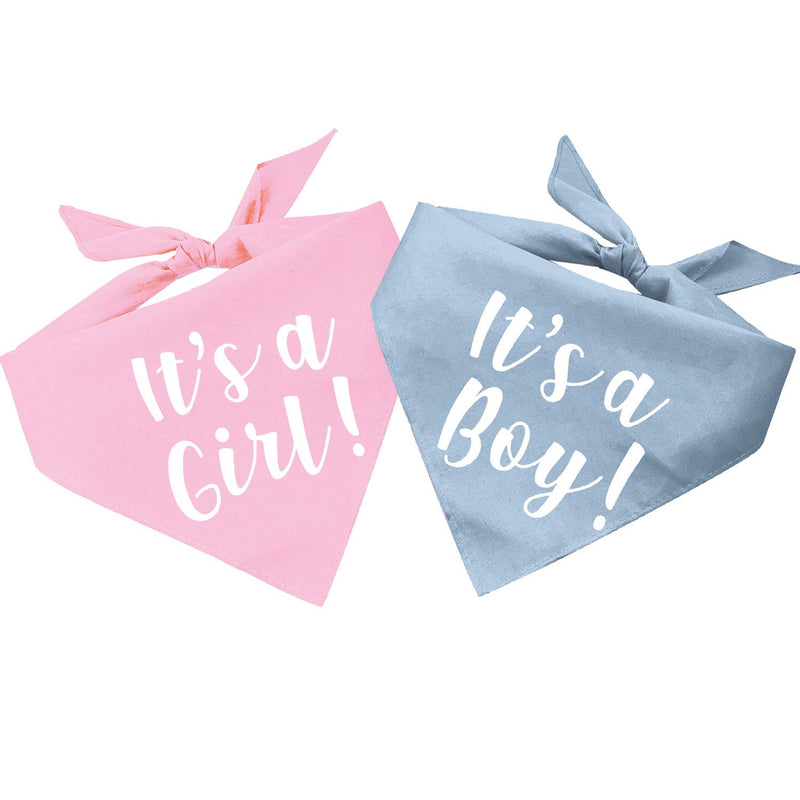 It's A Boy Or It's A Girl Gender Reveal/Baby Announcement Dog Bandana X-Small Blue - PawsPlanet Australia