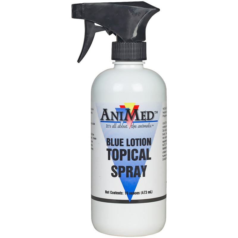 AniMed Blue Lotion Topical Antiseptic for Horses Dogs Cats Cows Sheep and Goats 16-Ounce - PawsPlanet Australia