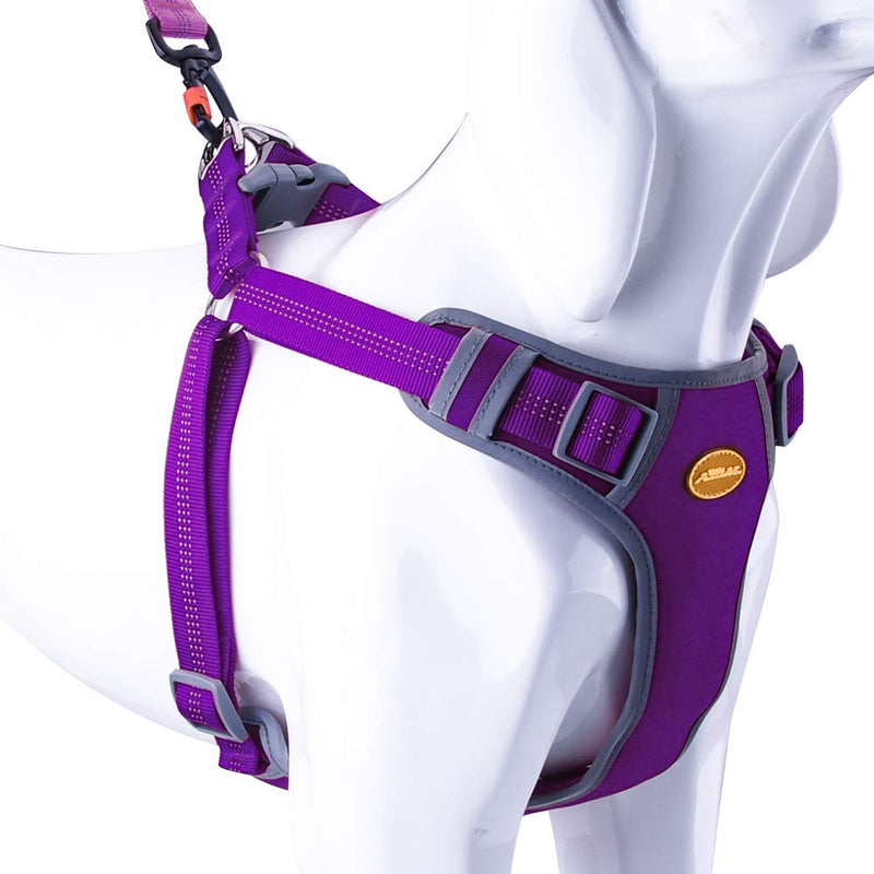 [Australia] - AdventureMore Dog Harness Leash Set, Step-in Escape Proof Reflective Dog Vest, No-Pull Adjustable Halter and Lead, with 5 ft Anti-Pull Dual-Handle Bungee Training Leash M/Chest girth 19-24 in Purple 