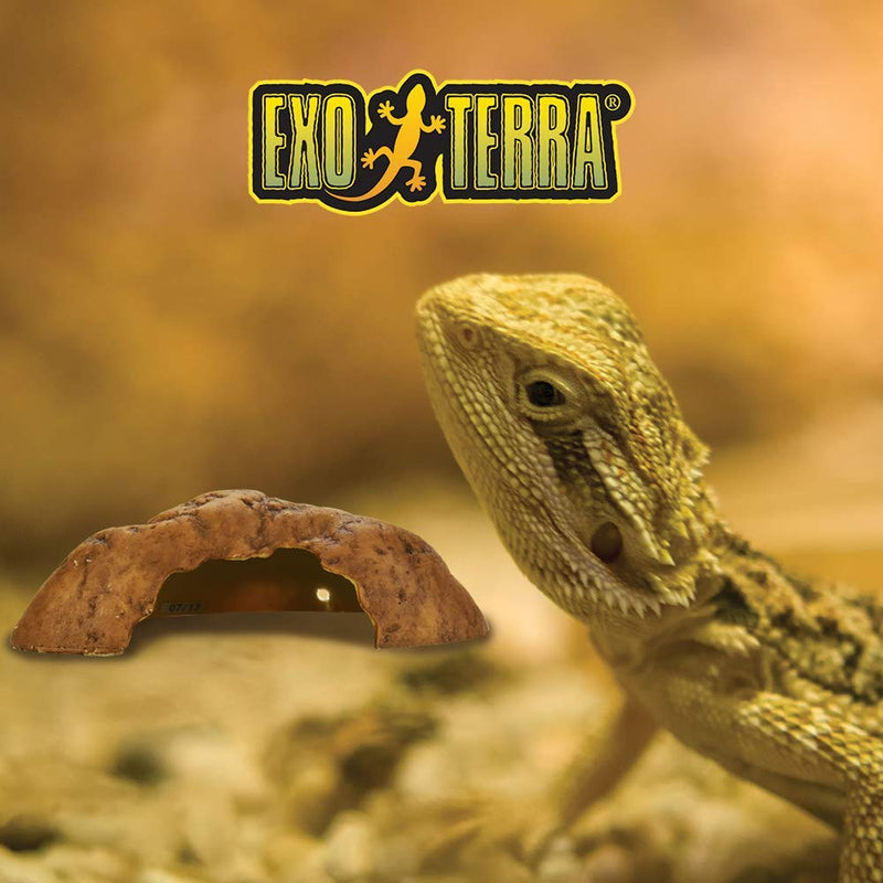 Exo Terra Reptile Cave, Small Single - PawsPlanet Australia