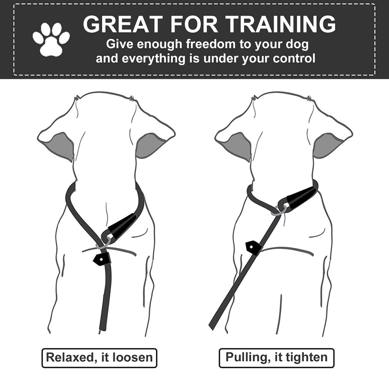 Dog Slip Leads Leash, 4.5FT Durable Puppy Rope Leashes Collar Nylon Dog Training Walking Lead Leashes for Small Medium Dogs (Black) Black - PawsPlanet Australia