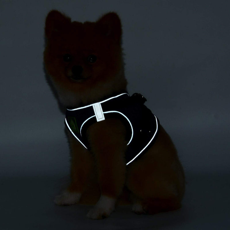 SMALLLEE_LUCKY_STORE Soft Mesh Step-in Small Dog/Cat Harness and Lead Set for Walking Reflective Puppy Vest Harness Outdoor Training,Black,Size M M(chest 40cm,for 3-5kg) black-style1 - PawsPlanet Australia