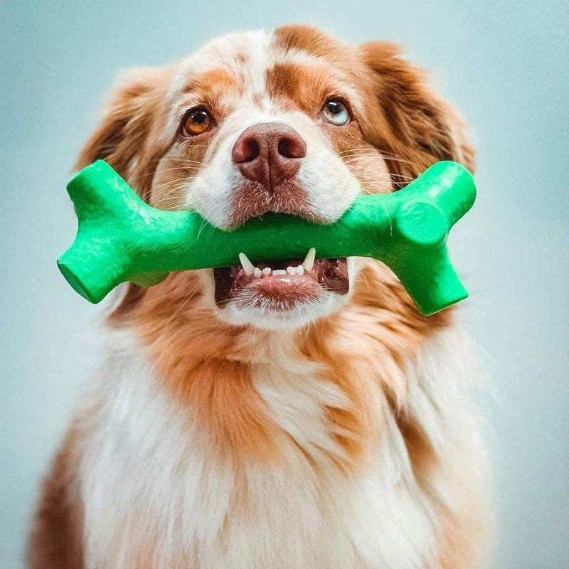 Pet Qwerks BarkBone Stick - For Aggressive Chewers Mint Medium - PawsPlanet Australia