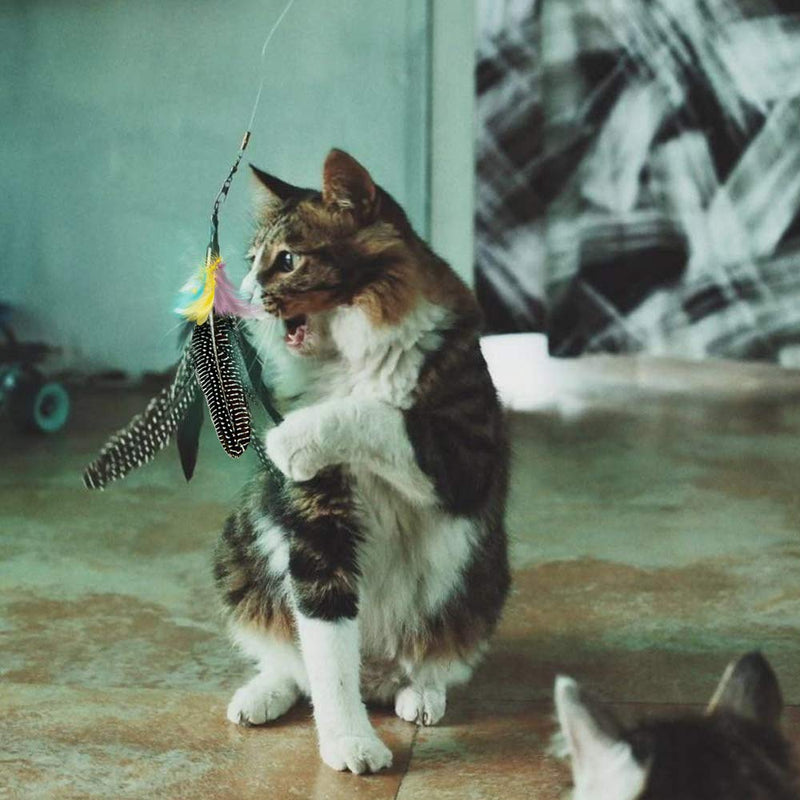 [Australia] - Highland Farms Select Handmade Natural Feather Cat Toy Da Bird Refills - Interactive Cat and Kitten Toy Only 6 Packs Feather Cat Toys 