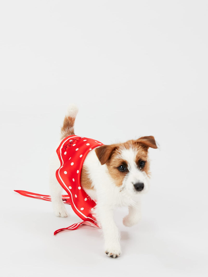 Rosewood Joules RED HELLO POLKA DOT NECKERCHIEF - PawsPlanet Australia