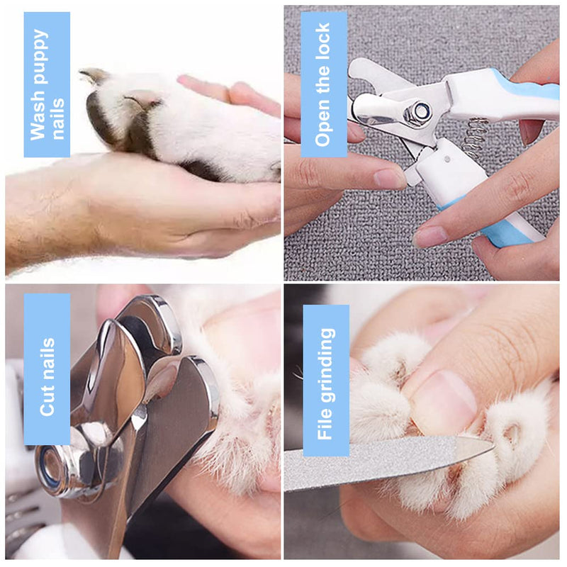 BAOSROY Stainless steel claw pliers for dogs and cats, claw scissors, claw scissors for dogs and cats with nail file, stainless steel claw pliers, claw care cutter for pets, nail clippers... - PawsPlanet Australia