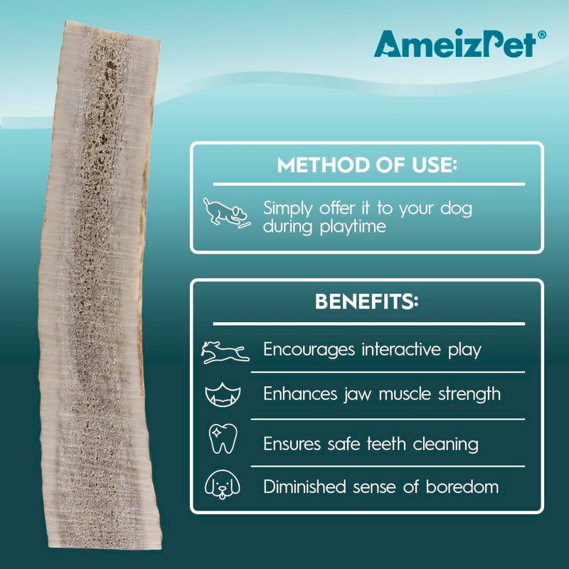 AmeizPet Antlers for dogs, natural, durable dog chew bone, deer chew bone for the dog, deer antlers, long-lasting parts - 1 piece S size S size 1 piece - PawsPlanet Australia
