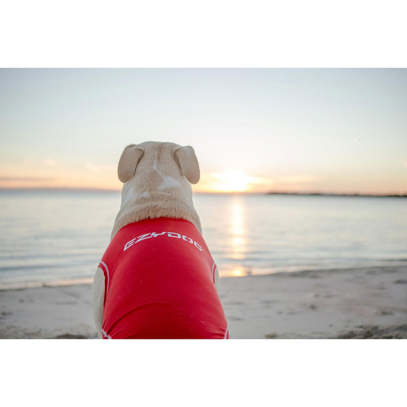 EzyDog Rash Vest, Large L - PawsPlanet Australia