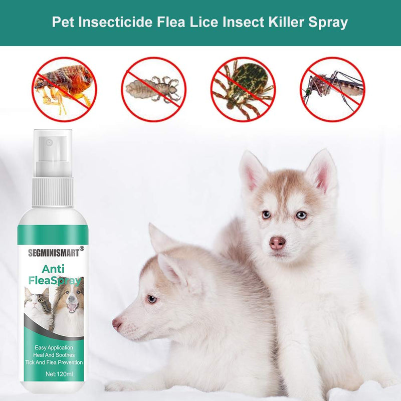 SEGMINISMART Flea Spray,Dog Fleas Protection Spray,Cat Flea Treatment,Tick and Flea Treatments for Dogs,Flea Spray For Dogs,Tick and Flea Protective for Dogs Cats - PawsPlanet Australia