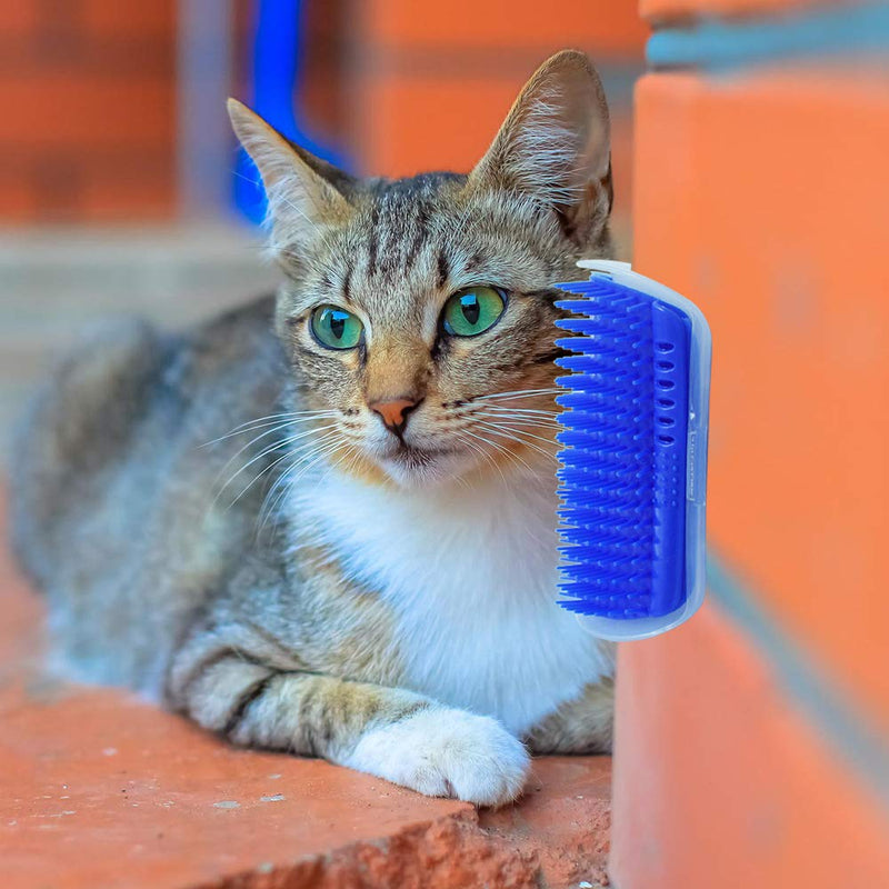 Hub's Gadget 2 Pack Cat Self Groomer, Wall Corner Massage Comb Grooming Brush with Catnip Pouch Blue - PawsPlanet Australia