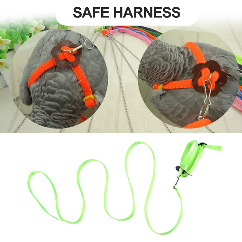 Pet Parrot Bird Harness, Bird Harness Leash, Bird Harness and Leash for Parrots Adjustable, Anti-bite Flight Training Rope Pet Traction Outdoor Fit Budgie Cockatiel Mynah - PawsPlanet Australia
