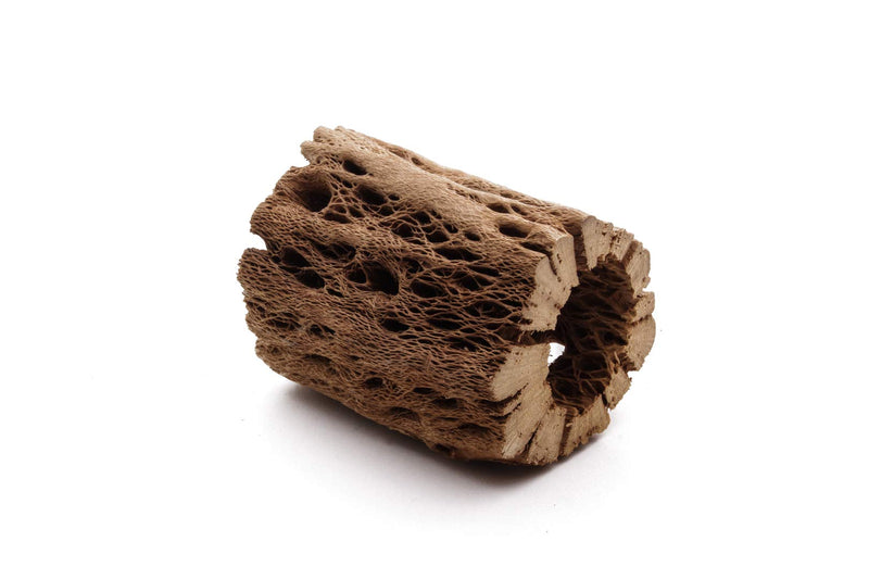My Pet Patrol 3 to 48 Inch All Natural Teddy Bear Cholla Wood Extra Hollow Large Untreated Organic Aquarium Driftwood Decoration Chew Toy Shrimp Crab Multi-Quantity 1 Piece, 3 inch - PawsPlanet Australia