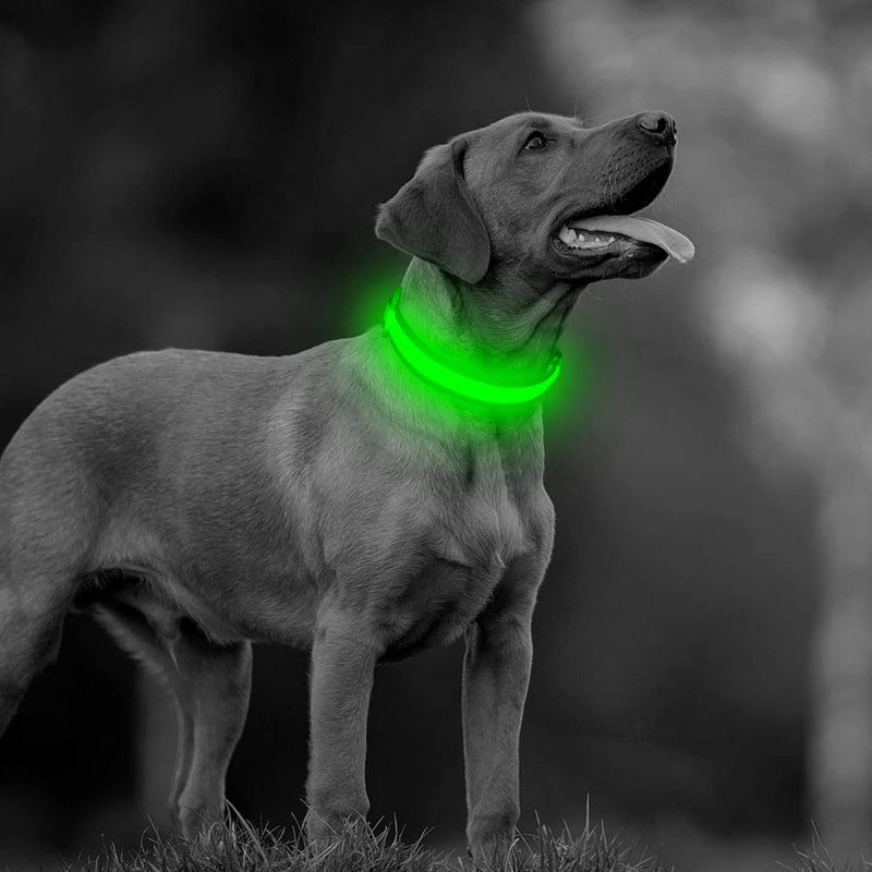 [Australia] - BSEEN LED Dog Collar USB Rechargeable Glowing Lighted Up Pet Collar, Lightweight Nylon Webbing High Visibility Keep Pet's Safety Glow in The Dark for Small Medium Large Dogs Medium [13.9"-20" inch / 35.5-51cm] Green 