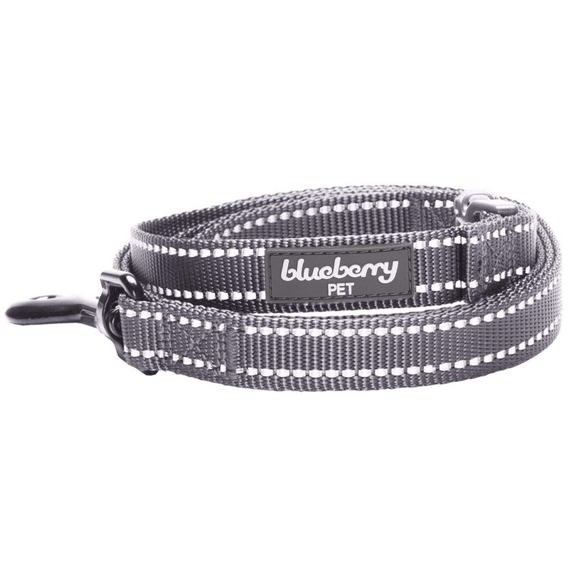 Blueberry Pet Durable 3M Reflctive Dog Lead 150 cm x 1.5cm in Neutral Gray, Small, Leads for Dogs, Matching Collar Available Separately 1.5cm x 150cm Neutral Gray with 3M Reflective Material - PawsPlanet Australia