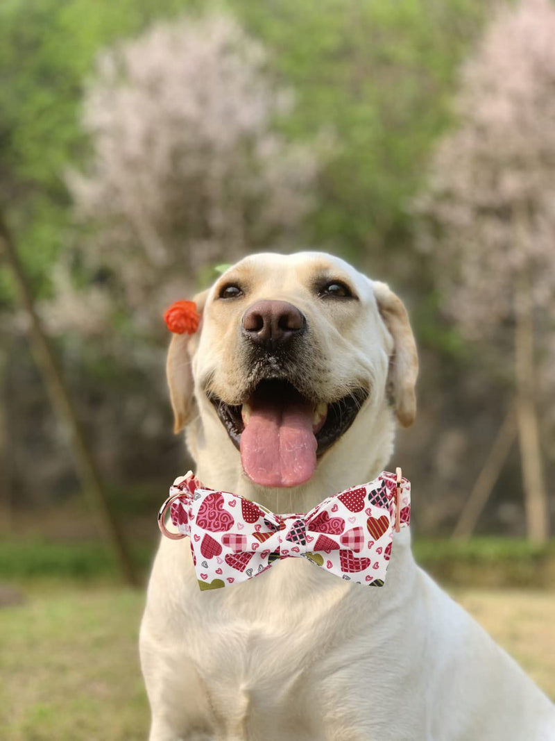 Lionheart glory Dog Collar, Adjustable Dog Collar with Bowtie, Pet Gift Collar for Dog Soft Bowtie Dog Collars for Small Medium Large Dogs X-Small (Pack of 1) Heart Cookies - PawsPlanet Australia