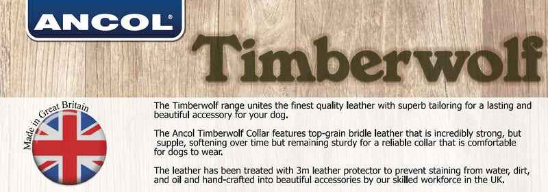 Ancol Timberwolf Leather Collar Blue to fit 26-36cm (sizeS) - PawsPlanet Australia