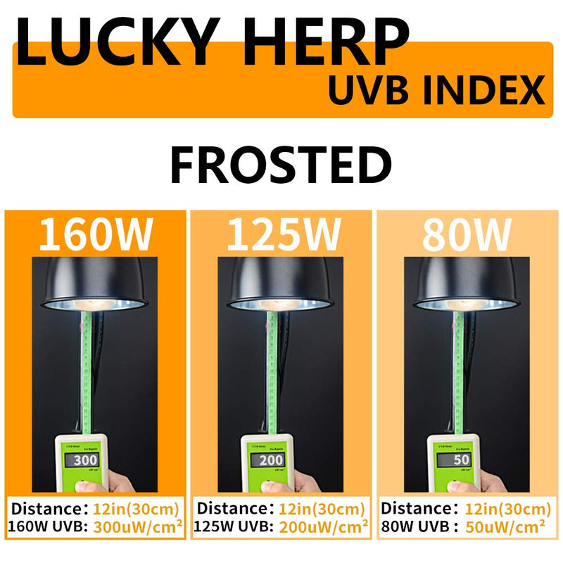 LUCKY HERP UVA+UVB Mercury Vapor Bulb High Intensity Self-Ballasted Heat Basking Lamp/Bulb/Light for Reptile and Amphibian 80W - PawsPlanet Australia