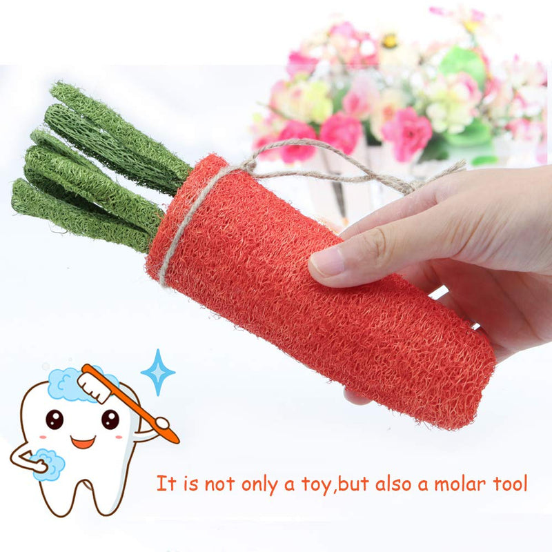 FASTER Rabbit Chew Toys for Teeth, 2PCS Carrot Shaped Tooth Cleaning Toys Chew Bite Pet Snacks Treat Toy with Hang Rope for Rabbit Cats Puppy Hamster Teeth Healthy Care - PawsPlanet Australia