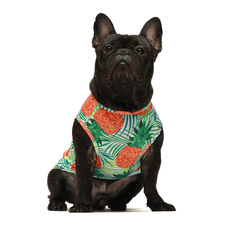 Fitwarm Hawaiian Dog Shirts Tropical Pineapple Doggie T-Shirts Puppy Tee Top Aloha Vest Pet Clothes Green XS - PawsPlanet Australia