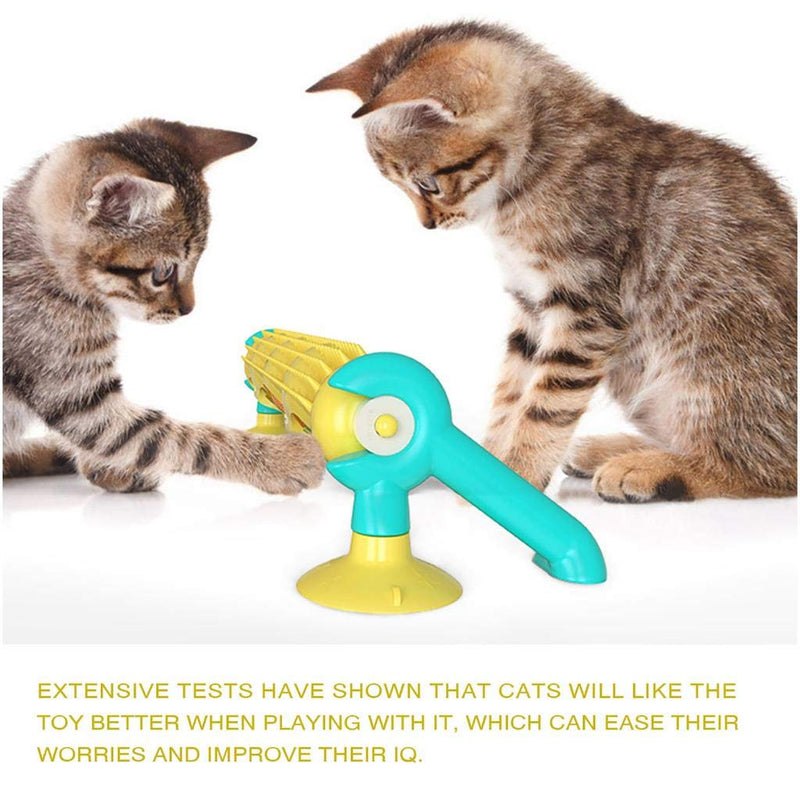 SevenMye Cat Track Ball Interactive Play Track with Moving Balls Cats Kitten Chasing & Exercising Needs for Indoor - PawsPlanet Australia