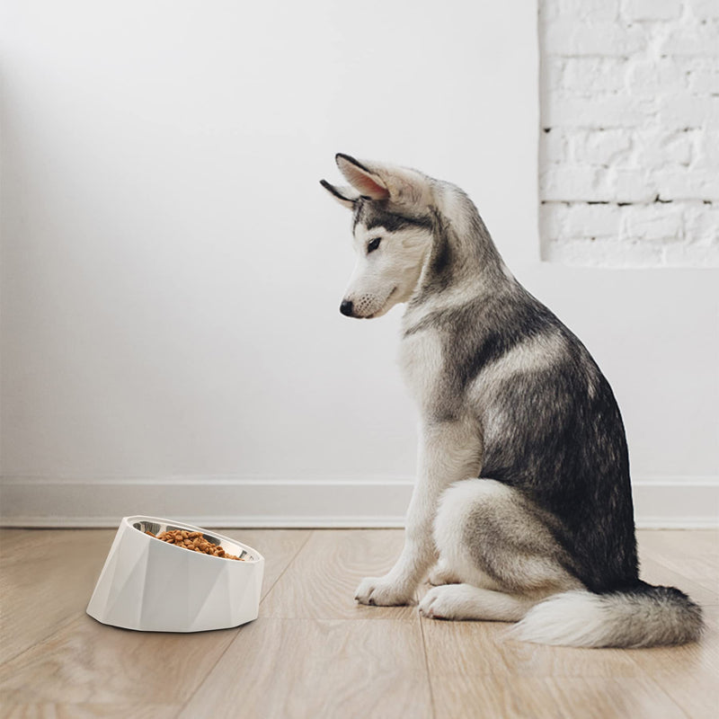 ComSaf 15°Slanted Stainless Steel Dog Bowl, 470ml Tilted Angle Raised Food Water bowl for Dog and Cat, Food Grade,Non-Skid & Non-Spill Feeding Bowl with Detachable Melamine Stand, White M/470ml - PawsPlanet Australia