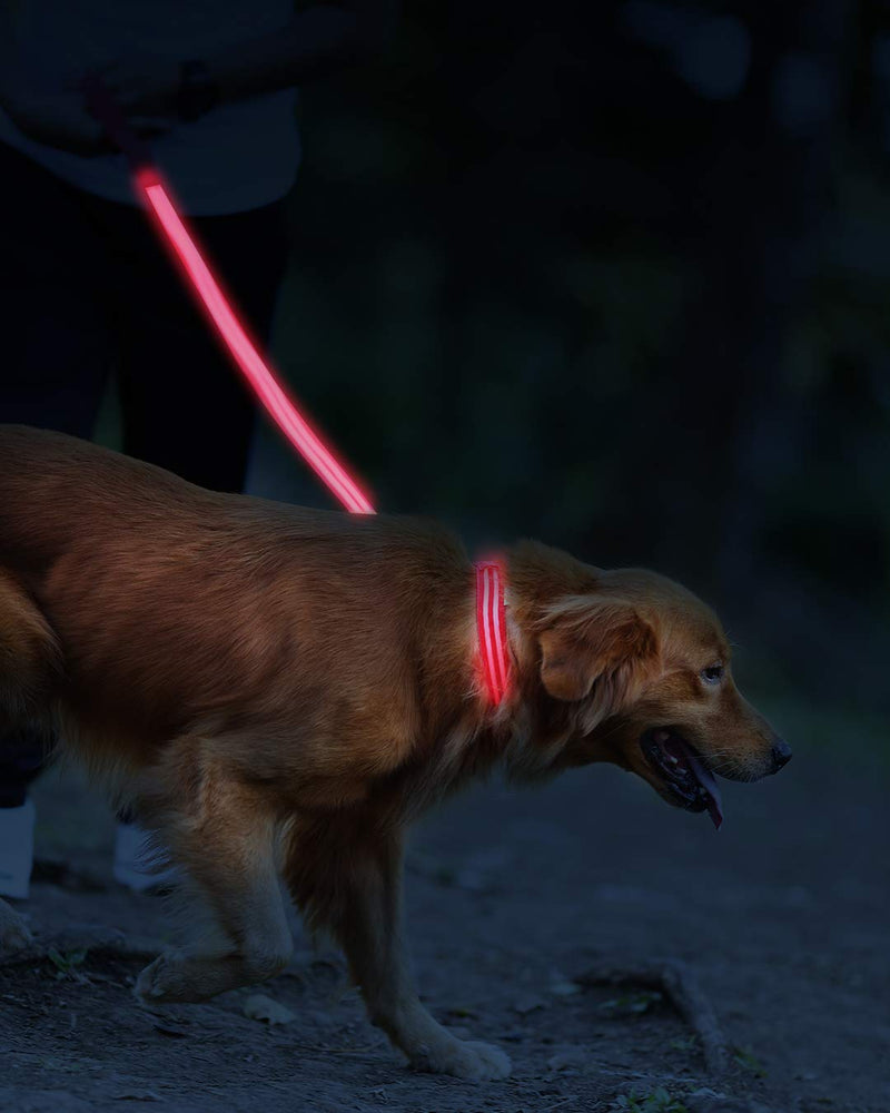 ILLUMISEEN LED Dog Collar - USB Rechargeable - Available in 6 Colours & 6 Sizes - Makes Your Dog Visible, Safe & Seen - Red, Medium (16 – 20” / 41 – 53cm) Ruby Red Medium (16 – 20” / 41 – 53cm) - PawsPlanet Australia