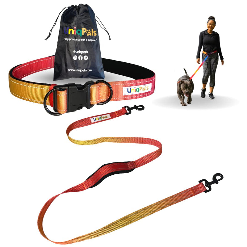 Uniqpals Hands Free Dog Leash for Medium to Large Dogs | 5 Feet Dog Leash for Walking, Running, Hiking with Heavy Duty Adjustable Waist Belt, Padded Handles, Reflective Stitching, and Carrying Bag Blue/Yellow - PawsPlanet Australia