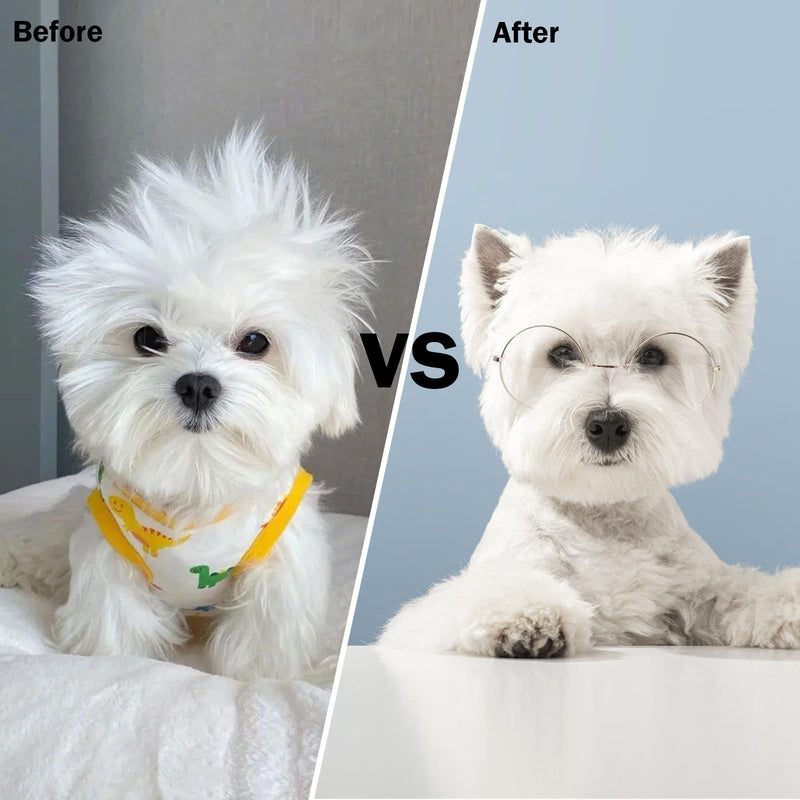 Dog brush, cat brush, self-cleaning pet brushes for dogs, cats, medium and long hair, clean pet hair from the brush with a button - PawsPlanet Australia
