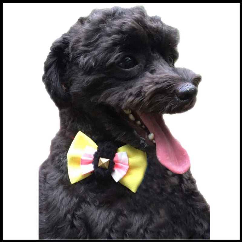 [Australia] - Zap Impex Double Layered Bow tie for Pets, Pets Accessories Medium 