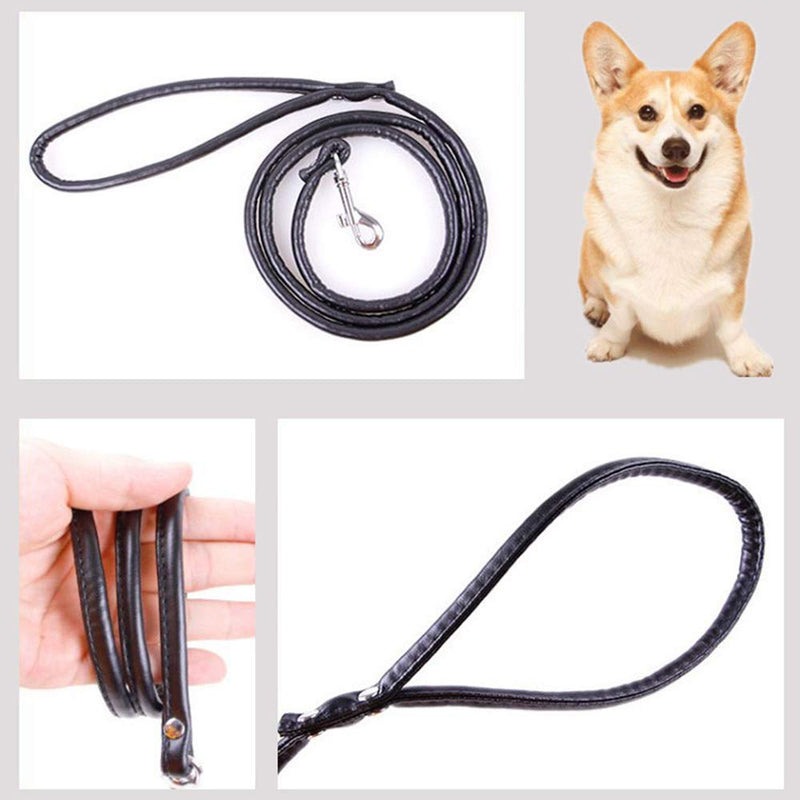 Smoosky Pet Supplies Round Colorful Leather Rolled Dog Puppy Walking Leashes for Small Medium Breeds S Black - PawsPlanet Australia