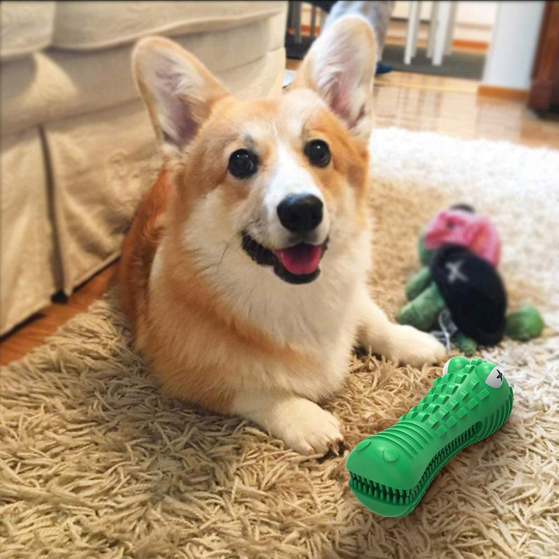 G.C Dog Chew Toys Indestructible, Squeaky Toothbrush Toy, Crocodile Interactive Tough Strong Durable Rubber Teeth Cleaning Toys for Large Medium Small Pets Doggy - PawsPlanet Australia