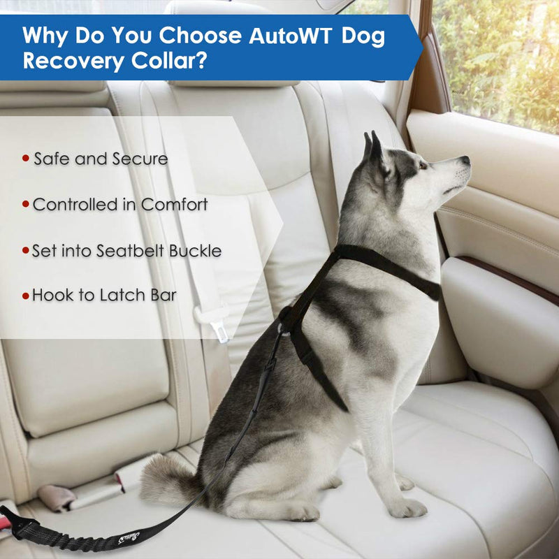 [Australia] - AutoWT Dog Seat Belt, Upgrade 2 in 1 Latch Bar Attachment Dog Car Seatbelt Metal Buckle Elastic Bungee Buffer Reflective Nylon Belt Tether Connect to Dog Harness for Pet Safety Black + Black 