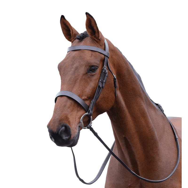 Kincade Hunt Cavesson Bridle II - Brown Black Full - PawsPlanet Australia