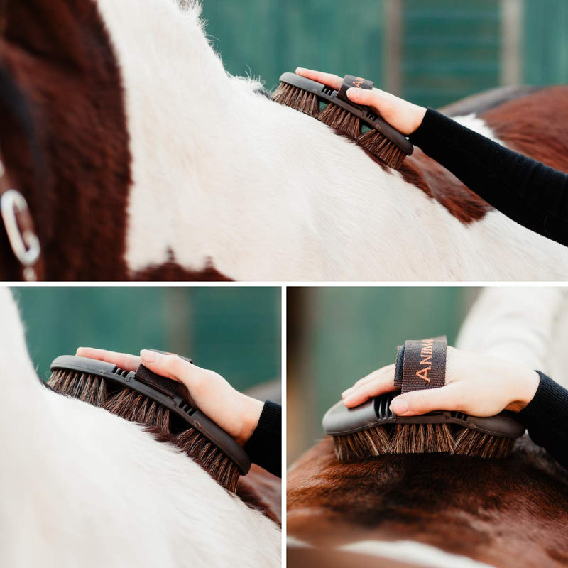 Animalon CareFlex horsehair brush brush | Flexible & ergonomic horse brush with Velcro fastener for comfortable horse grooming | Horse Accessories | Horse Grooming Supplies (Brown) - PawsPlanet Australia