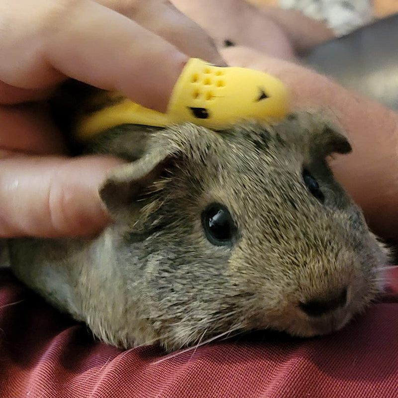 Huggle Brush HuggleBrush Original Yellow Guinea Pig Brush, Rabbit Small Pet Grooming, De-shedding, Bonding - PawsPlanet Australia