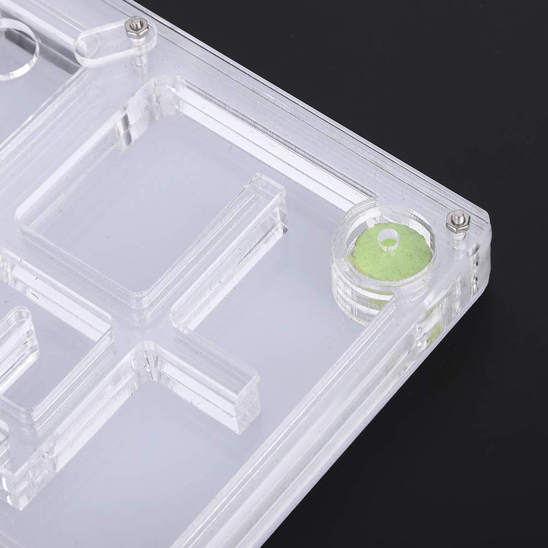 Live Ant Farm Acrylic Insect Breeding Box Transparent Ant Display Box Ant Feeding Box Ant Habitat - PawsPlanet Australia